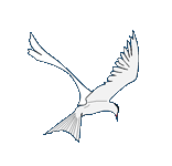 White tern logo